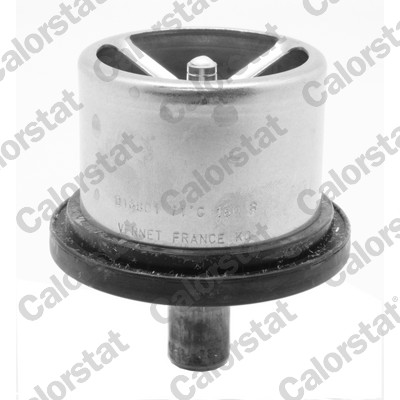 Thermostat, coolant (THS16801.71)