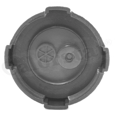 Cap, coolant tank