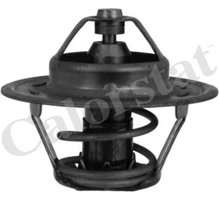 Thermostat, coolant (TH4046.86J)
