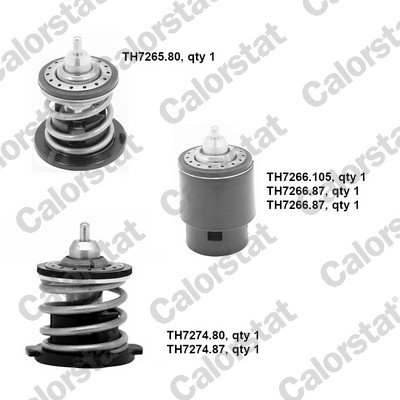 Thermostat, coolant (WP0001)