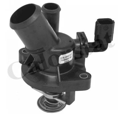 Thermostat, coolant (TE6939.98J)