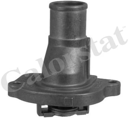 Thermostat, coolant (TH5069.87J)