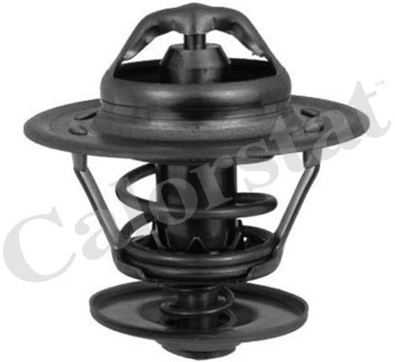 Thermostat, coolant (TH6434.82J)