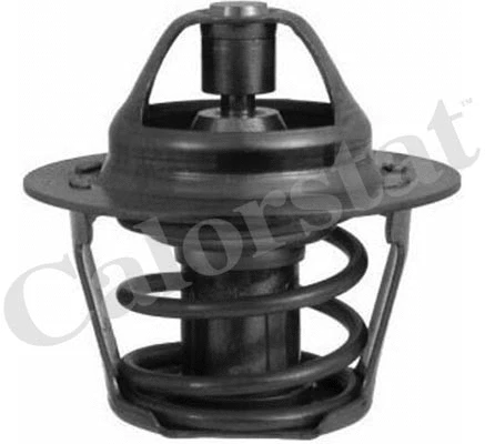Thermostat, coolant (TH0963.86J)