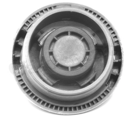 Expansion Tank, coolant