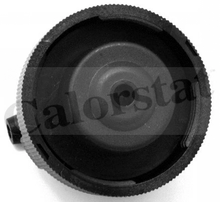 Cap, coolant tank