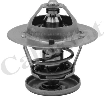 Thermostat, coolant (TH6580.88J)