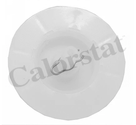 Cap, coolant tank