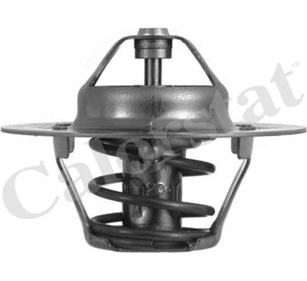 Thermostat, coolant (TH4608.88J)