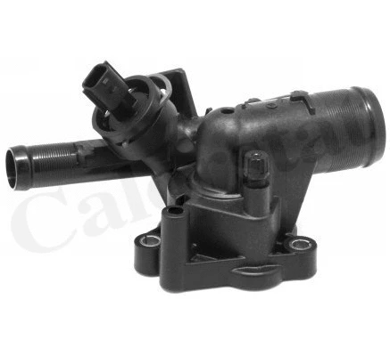 Thermostat, coolant (TH7190.87J)