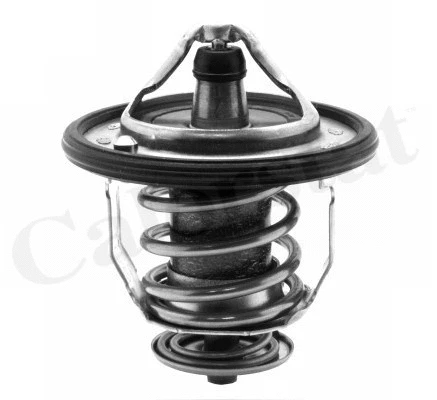 Thermostat, coolant (TH5434.82J)