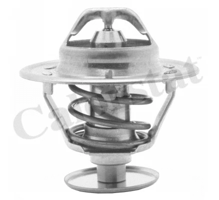 Thermostat, coolant (TH1419.82J)