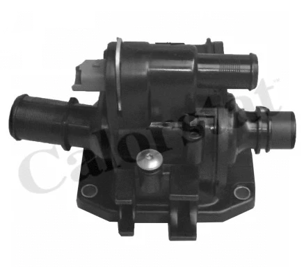 Thermostat, coolant (TH6874.83J)