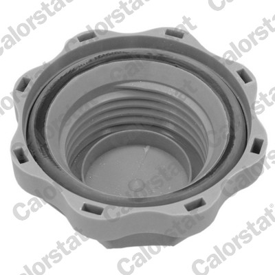 Cap, coolant tank