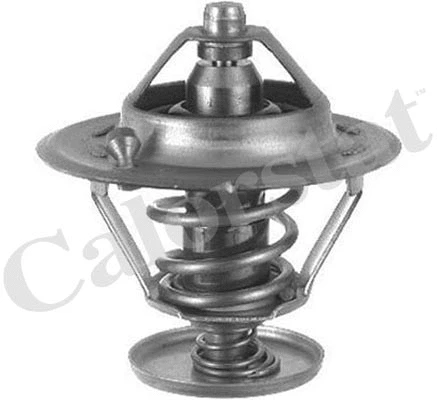 Thermostat, coolant (TH6296.78J)