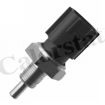 Sensor, coolant temperature (WS3099)