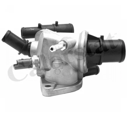 Thermostat, coolant (TH6869.88J)