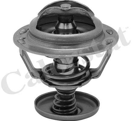 Thermostat, coolant (TH6838.82J)