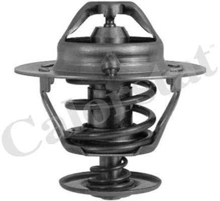 Thermostat, coolant (TH6294.82J)
