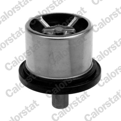 Thermostat, coolant (THS16953.86)
