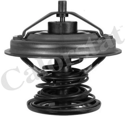 Thermostat, coolant (TH6242.92J)