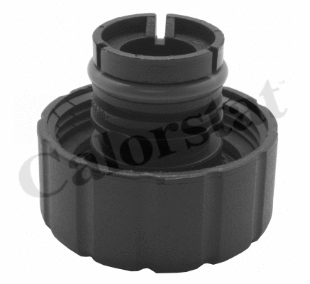 Cap, coolant tank