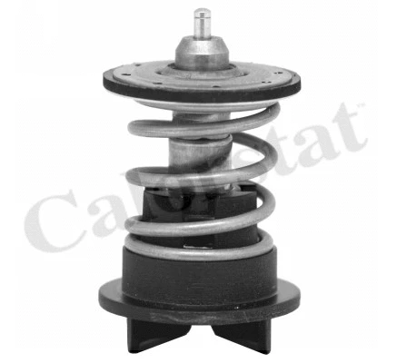 Thermostat, coolant (TH7272.89)