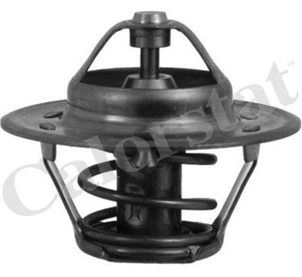 Thermostat, coolant (TH1290.88J)