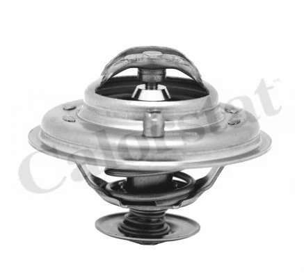Thermostat, coolant (TH5973.80J)