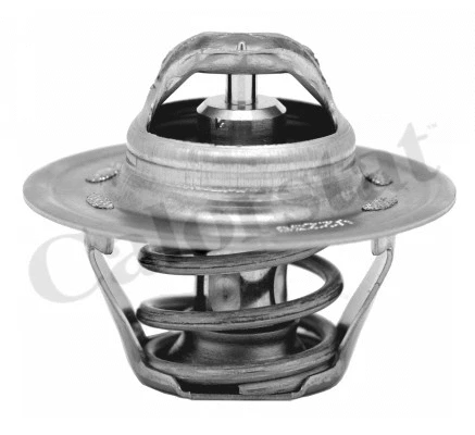 Thermostat, coolant (TH6276.87J)