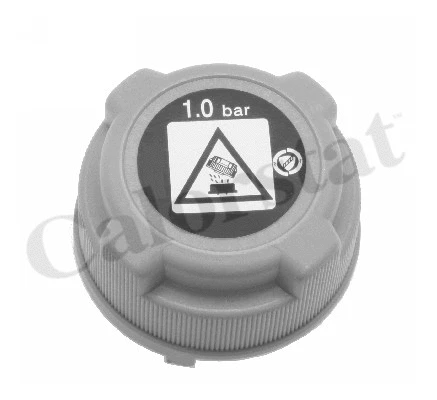 Cap, coolant tank (RC0197)