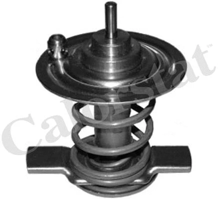 Thermostat, coolant (TH6967.87J)