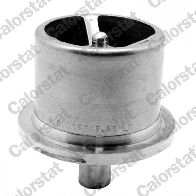 Thermostat, coolant (THS19049.86)