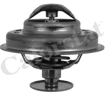 Thermostat, coolant (TH4945.89J)