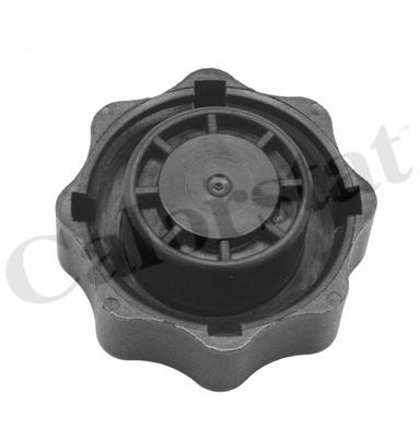 Cap, coolant tank
