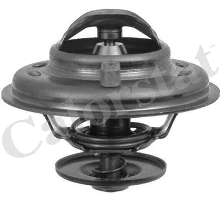 Thermostat, coolant (TH5902.87J)