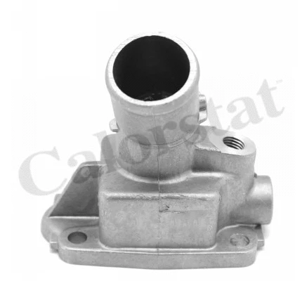 Thermostat, coolant (TH7302.79J)