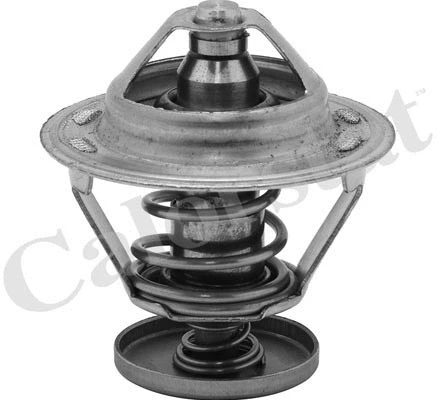 Thermostat, coolant (TH5079.82J)