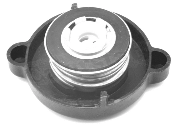 Cap, coolant tank