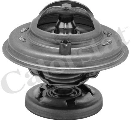 Thermostat, coolant (TH5699.80J)