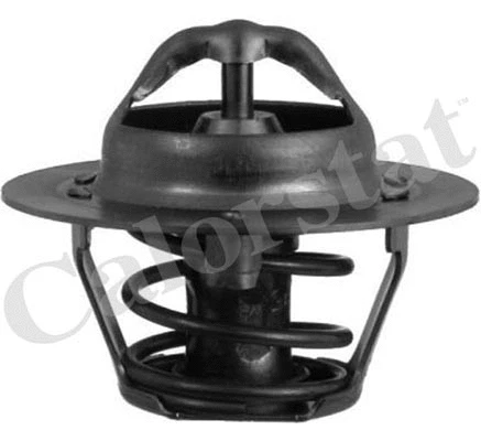 Thermostat, coolant (TH5977.88J)
