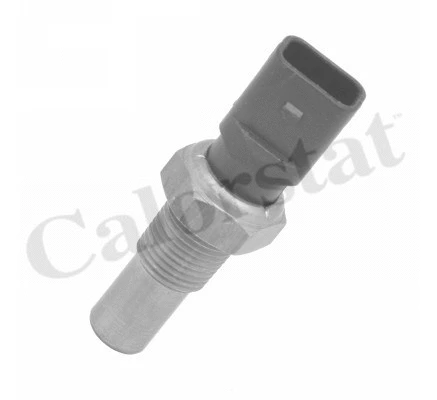 Sensor, coolant temperature (WS3156)