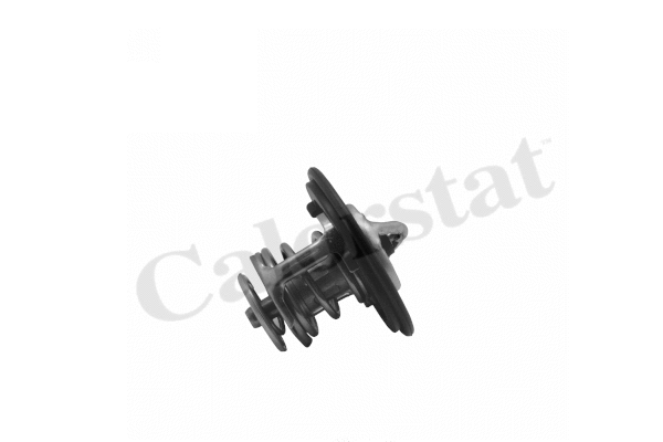 Thermostat, coolant (TH7413.82J)