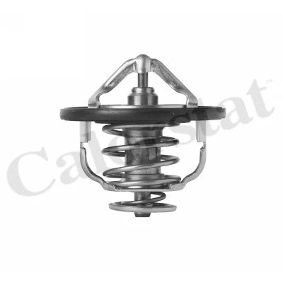 Thermostat, coolant (TH7399.85J)