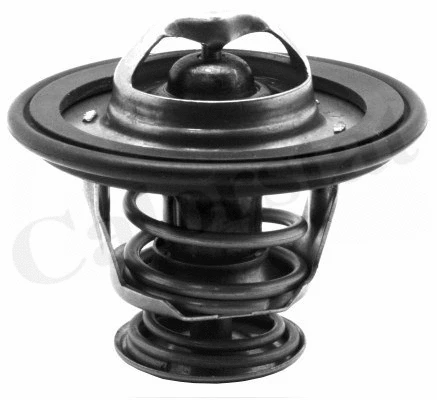 Thermostat, coolant (TH7153.78J)