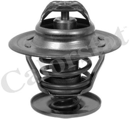 Thermostat, coolant (TH6273.87J)