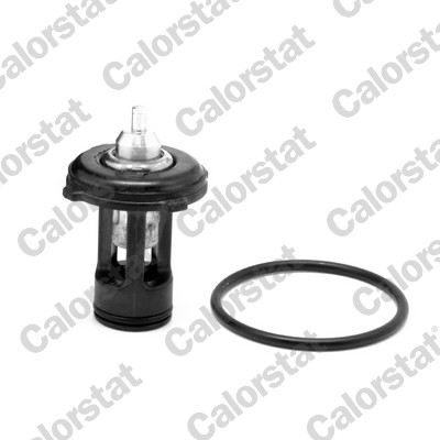 Thermostat, coolant (THK7271.87J)