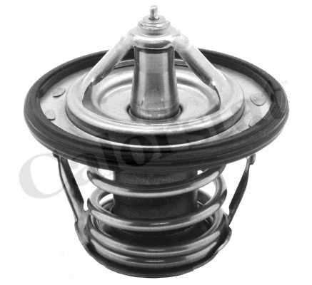 Thermostat, coolant (TH7263.86J)