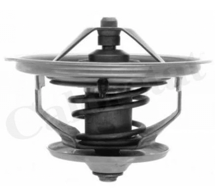 Thermostat, coolant (TH7103.79J)