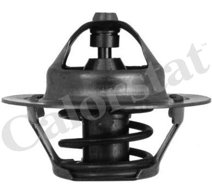 Thermostat, coolant (TH5075.88J)